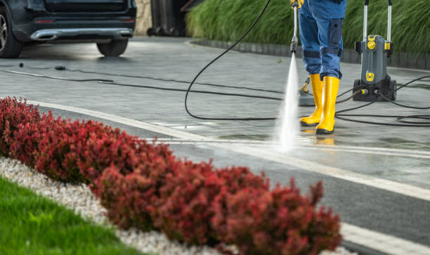 Boat and Dock Cleaning in Lincoln Park, MI